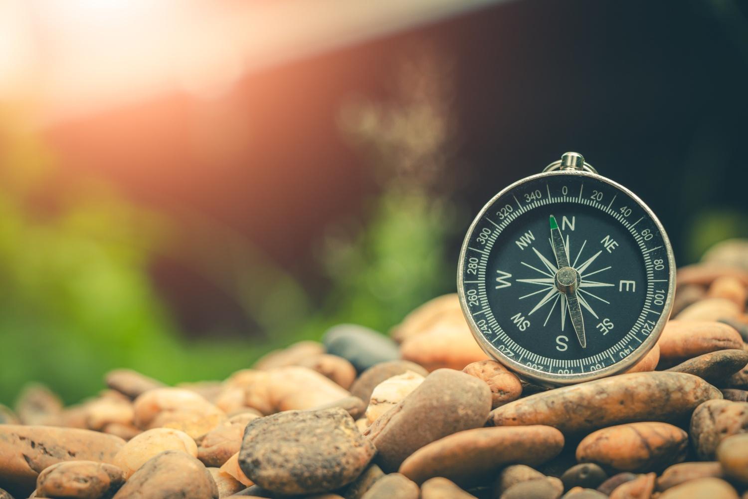 Leadership Compass image
